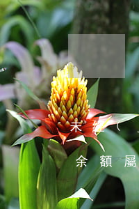 未經(jīng)本人同意偷看他人銀行卡余額，屬于侵害隱私權(quán)嗎？